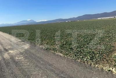 Teren în Central - 3