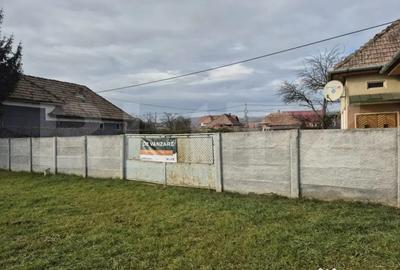 Casă cu 3 camere cu Teren 1400 Mp în Nazna