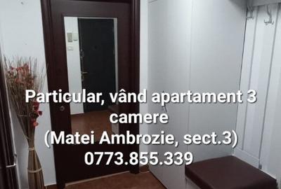 Particular,apartament 3 camere centrala proprie,Matei Ambrozie-Titan - 4