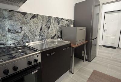 Apartament cu 2 camere decomandat în Rudicica - 6
