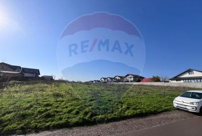 Teren intravilan de 347 mp, în Berceni - 4