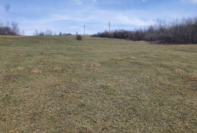 Teren agricol extravilan de 3600 mp, în Tărlungeni - 4