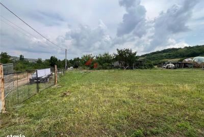 Spațiu comercial, în Tomești - 2