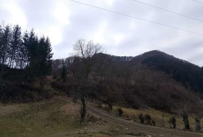 Teren de 20000 mp, în Râu Sadului - 4