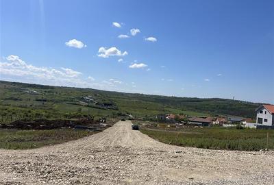 Casă cu 3 camere cu Teren 530 Mp în Paleu - 5