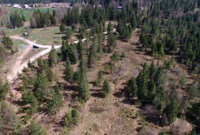 Teren intravilan 3,584mp Calatele Padure - 9