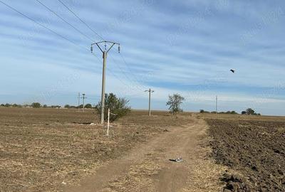 Teren de 2500 mp, în Valu lui Traian - 2