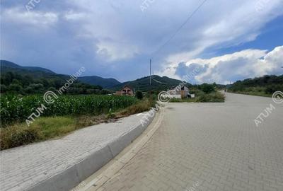 De 733 mp in Boita Sibiu - 3