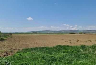 Spațiu comercial, în Nazna - 3