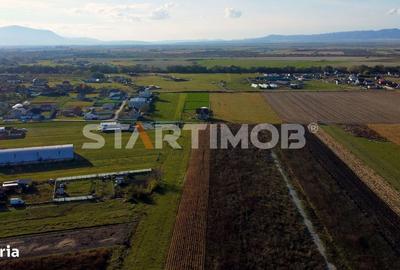 Teren de 3000 mp, în Bod - 4