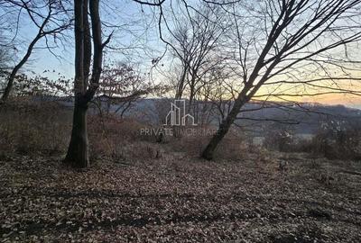 Teren extravilan 28.800 Mp , zona Rora, Sighisoara - 8