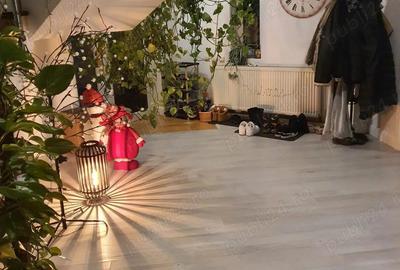 Vila exclusivista cu gradina de inchiriat in Cluj-Napoca, cartier Borhanci - Strada Rozmarinului - 8