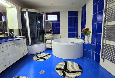 Vila ta aproape de natura – 8 camere, Lacul Pasarea - 39