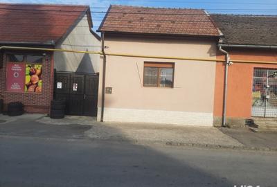 Casă cu 3 camere în Caransebeș