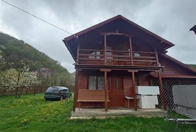 Cabana si teren in Bucuresci, Hunedoara - 2