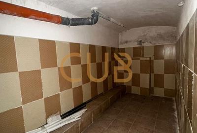 Garsonieră nedecomandată în Iosefin - 9