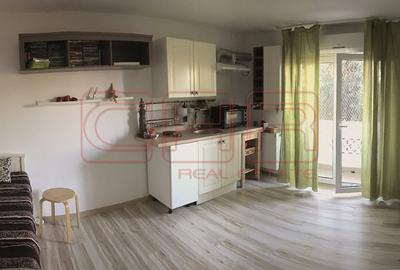 Garsonieră semidecomandată, mobilată în Domenii - 2