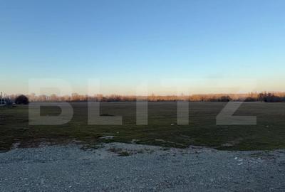 Teren intravilan industrial, 4307 mp, Podari - 1