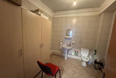 Vilă P+1 | Str. Vlad Județul 55 teren 300m | Birouri sau producție - 19