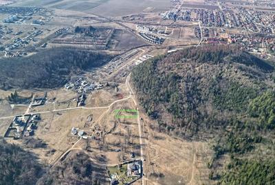 Teren Construcții intravilan de 1829 mp, în Cristian