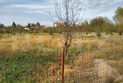 Teren de 4170 mp, în Bercu Roșu - 4