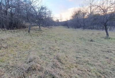 Spațiu comercial, în Cacova Ierii - 6