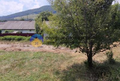 Spatiu industrial de vanzare - hala productie + birouri Piatra Neamt - 11