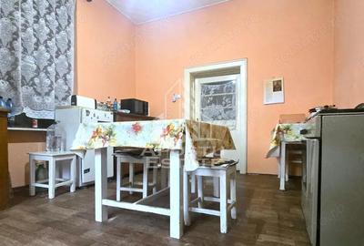 Proprietate cu potential turistic in Gurahont - 6