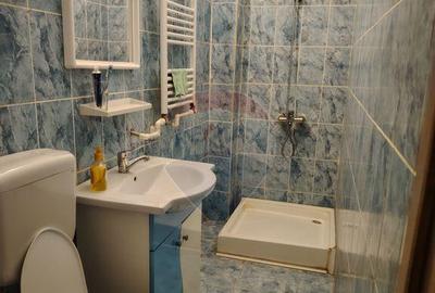 Garsoniera zona ultracentrala de inchiriat - 6