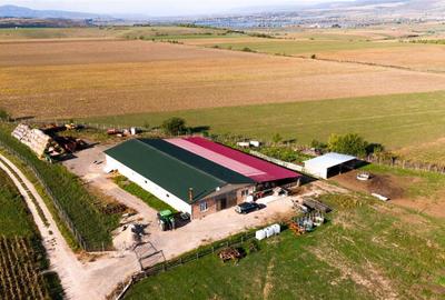 FILM! 18.000 mp,extravilan,agricol constructii, recomandat:f - 9