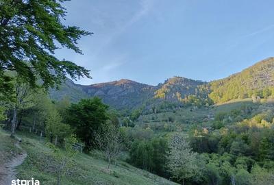 Teren de 635 mp, în Cornereva - 2