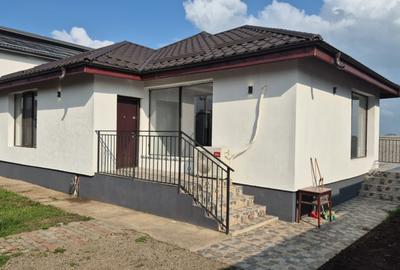 CASA LA CHEI ! GATA DE MUTARE ! - 1