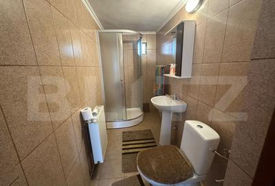 Casa solida pe Bld. Ecaterina Teodoroiu Targu Jiu - 15