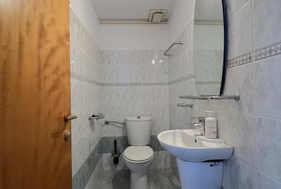 DUPLEX 3 CAMERE ||  VEDERE SUPERBA || GARAJ || ARCUL DE TRIUMF - 9