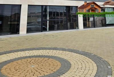 Spațiu comercial, de 500 mp, în Tătărași - 11