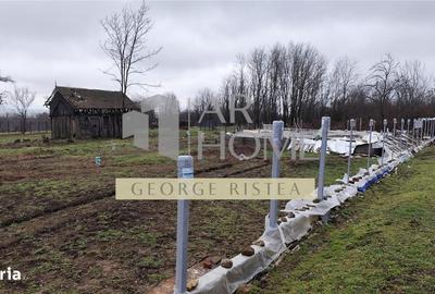 Spațiu comercial, în Țintea - 7