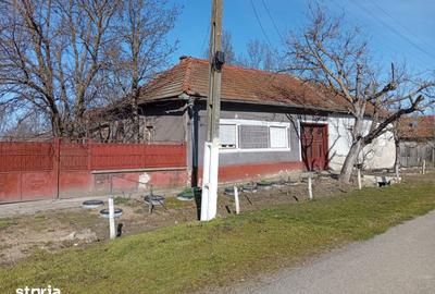 Casă cu 4 camere cu Teren 1400 Mp în Bârsa - 6