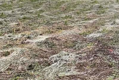 Spațiu comercial, în Baia Sprie - 3