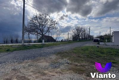 Teren Construcții intravilan de 2000 mp, în Daia - 8