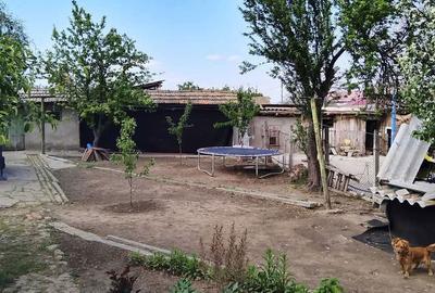 Casă cu 4 camere în Viile - 7