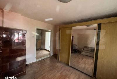 Casă cu 7 camere cu Teren 2500 Mp în Rapoltu Mare - 6