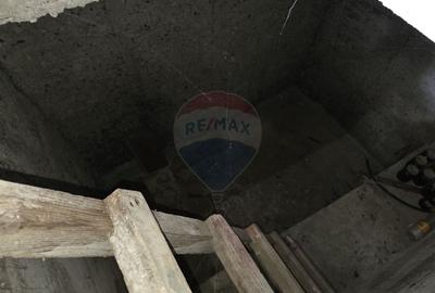 De vanzare casa taranesca Balusesti jud. Neamt - 23