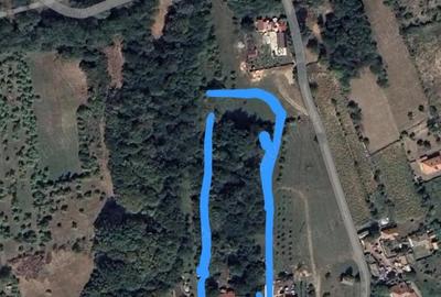 7277mp teren intravilan, la strada principala, in comuna Gole?ti, sat Blidari, jud Valcea - 4