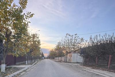 Persoana fizica,Teren intravilan Aroneanu, 554+98mp - 6