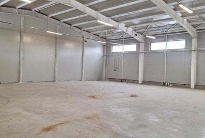 Afumati inchiriere spatiu hala - 1