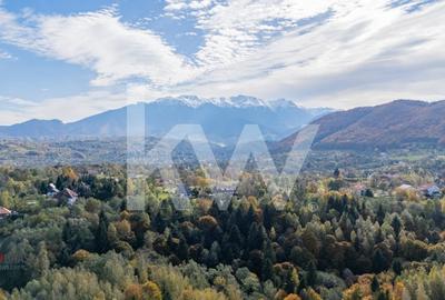 Vanzare teren intravilan 37723 mp Zarnesti Tohanita - 8