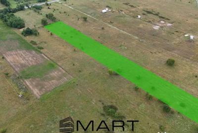 Teren de 5000 mp, în Avrig