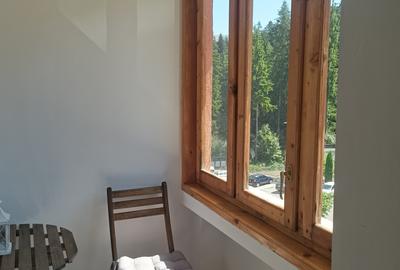 Apartament cu  patru camere situat in Busteni - 4