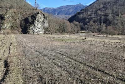 Teren de 2800 mp, în Călinești - 12