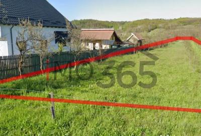 Teren de 2893 mp, în Băbana